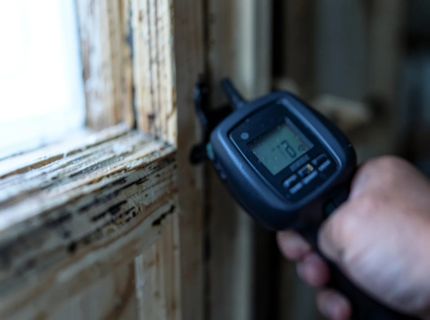 Moisture Inspection And Documentation in Dryden, WA